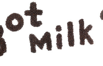 Resized Image