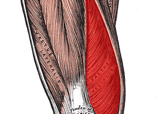 Resized Image