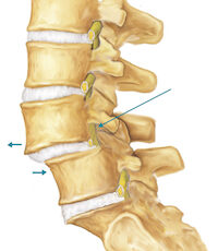 Resized Image