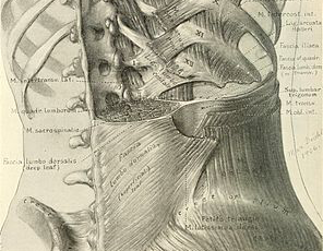 Resized Image